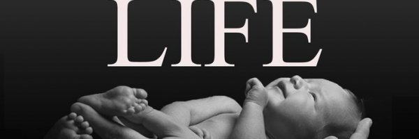 Great American Dumb Ideas: Sanctity of Life article about Great American Dumb Ideas: Sanctity of Life