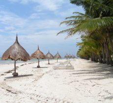 article about best beaches in philippines
