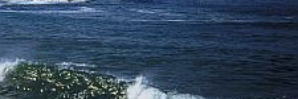 Tidal Pool article about Tidal Pool