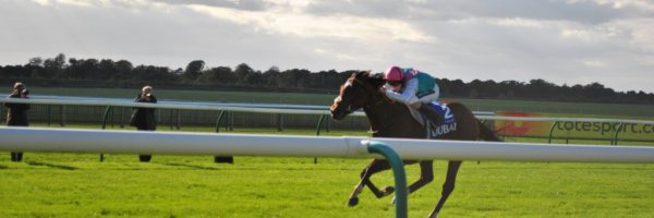 4 Awe-Inspiring Sport Bets of All Time article about 4 Awe-Inspiring Sport Bets of All Time