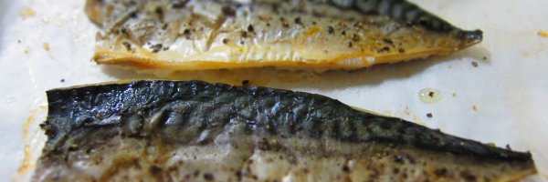  article about The 5 Healthiest Fish for Your Diet