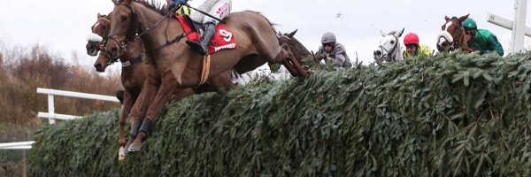  article about The Key Contenders for the 2017 Grand National