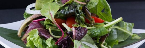 Top 4 Reasons Why You Should Go for Healthy Snacks article about Top 4 Reasons Why You Should Go for Healthy Snacks