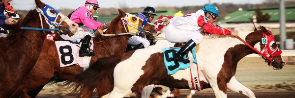 How To Bet On Horse Racing And Win article about How To Bet On Horse Racing And Win
