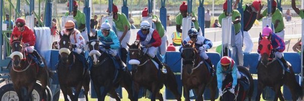  article about How To Bet On Horse Racing And Win