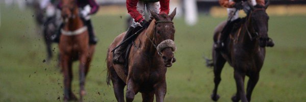 Definitly Red Out For Grand National Redemption article about Definitly Red Out For Grand National Redemption