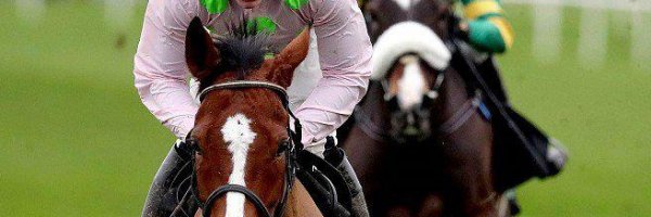Faugheen Looks Set For Another Cheltenham Crown article about Faugheen Looks Set For Another Cheltenham Crown