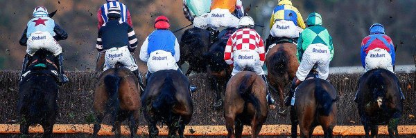 Which Hells Kitchen Will Turn Up at Cheltenham Festival? article about Which Hells Kitchen Will Turn Up at Cheltenham Festival?