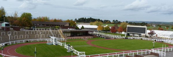 Cheltenham Festival Last Minute Betting Whispers article about Cheltenham Festival Last Minute Betting Whispers
