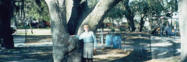 The Mount Perry Peanut Tree article about The Mount Perry Peanut Tree