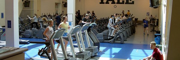 work out article about work out