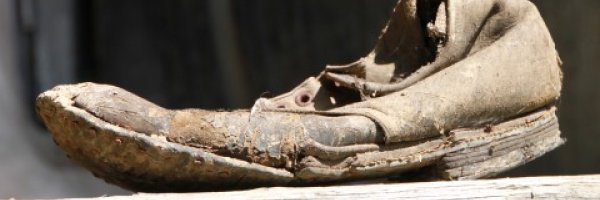 Did you know that you are a shoe? article about Did you know that you are a shoe?
