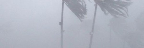 Typhoon Yolanda article about Typhoon Yolanda