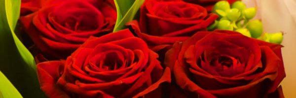Dealing With Valentines Day in a New Relationship article about Dealing With Valentines Day in a New Relationship
