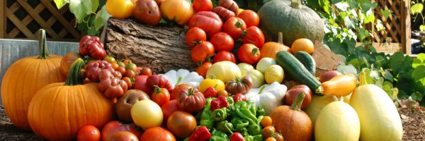 Growing veggies in small spaces article about Growing veggies in small spaces