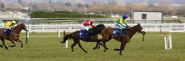 Get ready for the greatest jumps race meeting in the world article about Get ready for the greatest jumps race meeting in the world