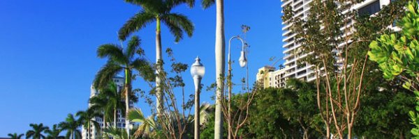 Looking For Property Management In West Palm Beach article about Looking For Property Management In West Palm Beach