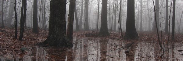 New Year, New You article about New Year, New You