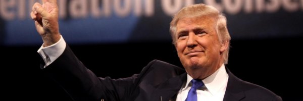  article about The Story of Donald Trump Before Politics