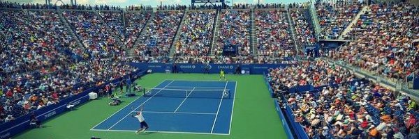 What is hot in the sports world in 2017? article about What is hot in the sports world in 2017?