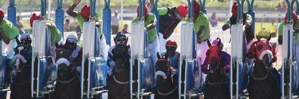 What is hot in the sports world in 2017? article about What is hot in the sports world in 2017?
