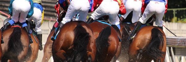  article about How To Bet On Horse Racing And Win