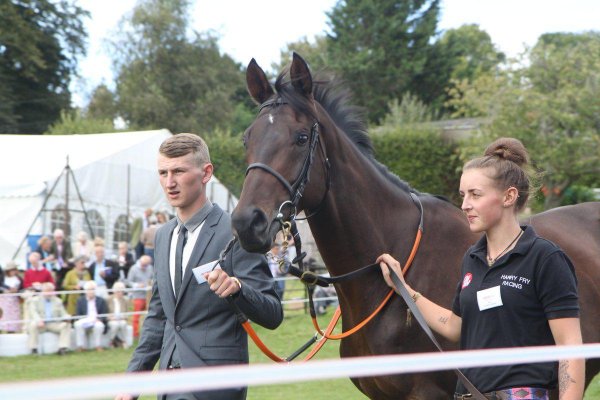 Which Hells Kitchen Will Turn Up at Cheltenham Festival? article about Which Hells Kitchen Will Turn Up at Cheltenham Festival?