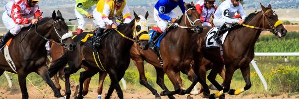How to choose the best bookmaker? article about How to choose the best bookmaker?