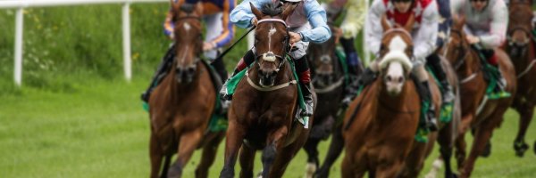 The three horses who have won both the Grand National and Scottish Grand National article about The three horses who have won both the Grand National and Scottish Grand National