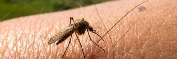 first malaria vaccine in the world article about first malaria vaccine in the world