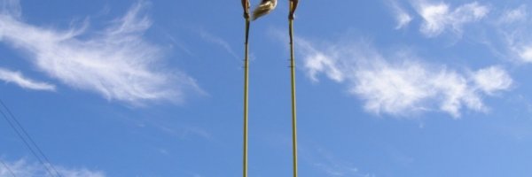 4 weird sports you might never have heard of article about 4 weird sports you might never have heard of