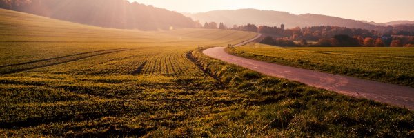 Why You Need Land Trusts when Buying Land article about Why You Need Land Trusts when Buying Land
