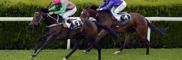 Who Are the Leading Contenders for the Cheltenham Gold Cup? article about Who Are the Leading Contenders for the Cheltenham Gold Cup?