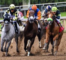 Sports article about How to Get Started with Horse Race Betting