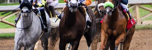 How to Get Started with Horse Race Betting article about How to Get Started with Horse Race Betting